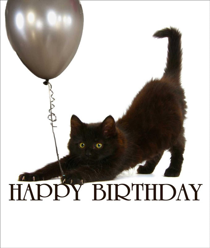 Happy Birthday Kitten, Birthday Card — Purrfect Cat Gifts